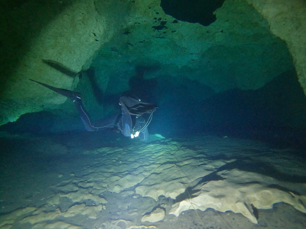 Dayo Scuba Center LLC, Orlando Florida www.dayo.com