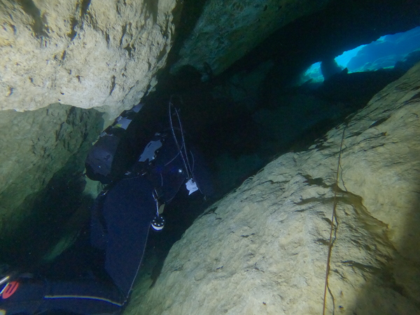 Dayo Scuba Center LLC, Orlando Florida www.dayo.com