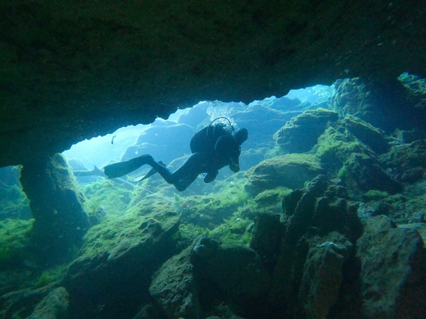 Dayo Scuba Center LLC, Orlando Florida www.dayo.com