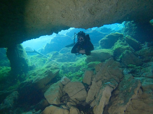 Dayo Scuba Center LLC, Orlando Florida www.dayo.com