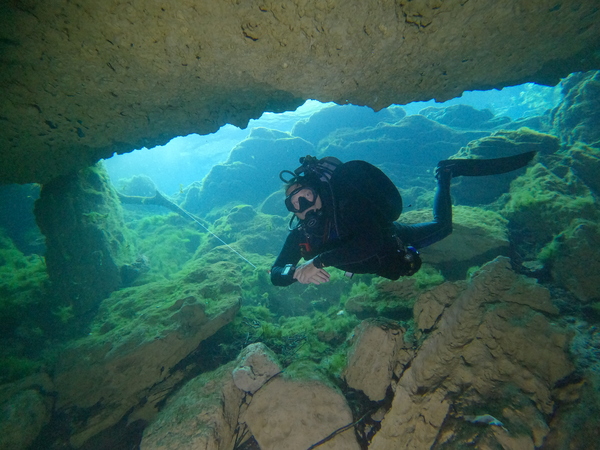 Dayo Scuba Center LLC, Orlando Florida www.dayo.com