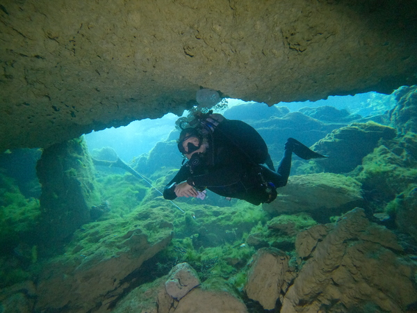 Dayo Scuba Center LLC, Orlando Florida www.dayo.com