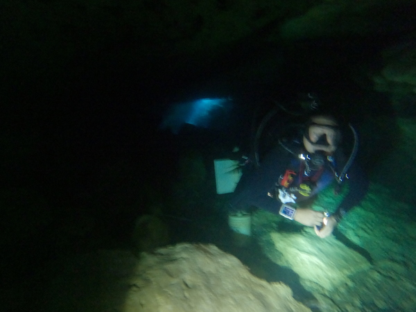 Dayo Scuba Center LLC, Orlando Florida www.dayo.com
