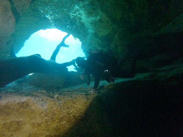 Dayo Scuba Center LLC, Orlando Florida www.dayo.com