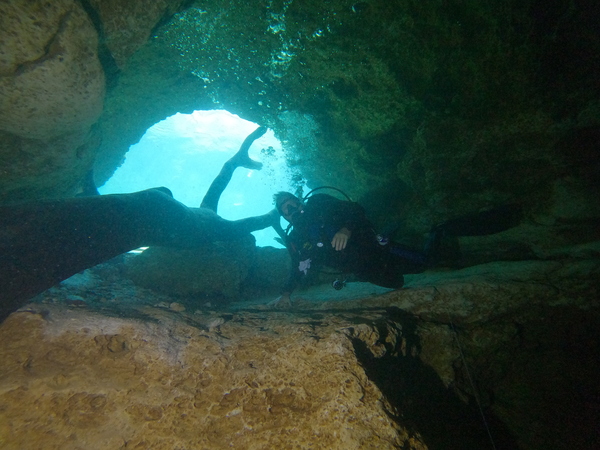Dayo Scuba Center LLC, Orlando Florida www.dayo.com