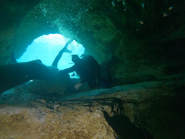Dayo Scuba Center LLC, Orlando Florida www.dayo.com