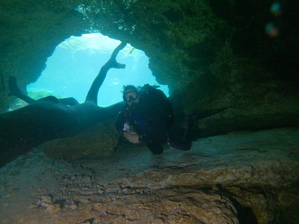 Dayo Scuba Center LLC, Orlando Florida www.dayo.com